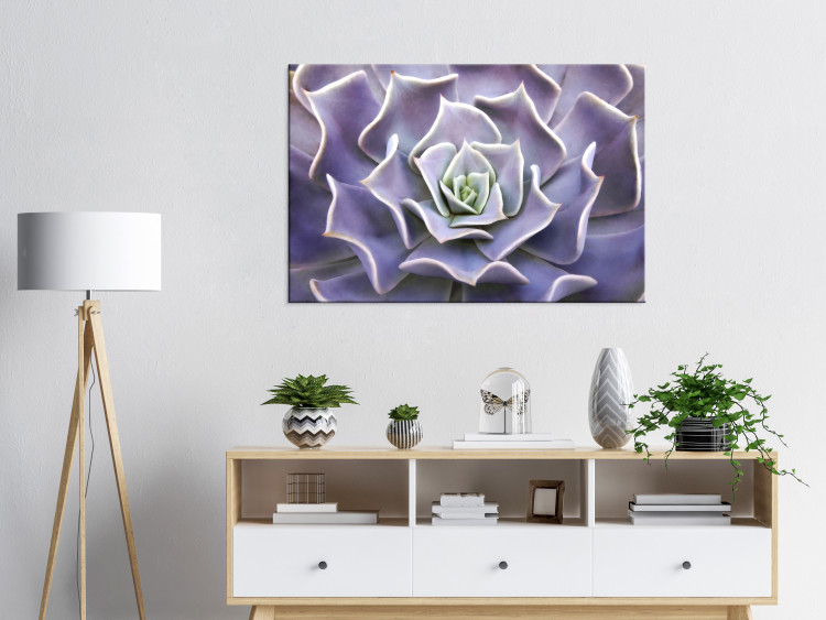Canvas Art Print Purple Bloom (1-part) - Cactus Flower in Subtle Hue 117178 additionalImage 3