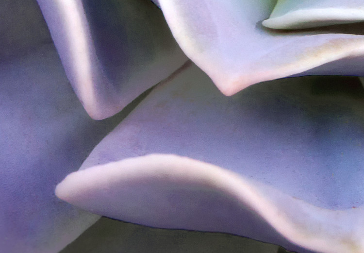 Canvas Art Print Purple Bloom (1-part) - Cactus Flower in Subtle Hue 117178 additionalImage 4