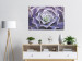 Canvas Art Print Purple Bloom (1-part) - Cactus Flower in Subtle Hue 117178 additionalThumb 3