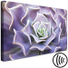 Canvas Art Print Purple Bloom (1-part) - Cactus Flower in Subtle Hue 117178 additionalThumb 6
