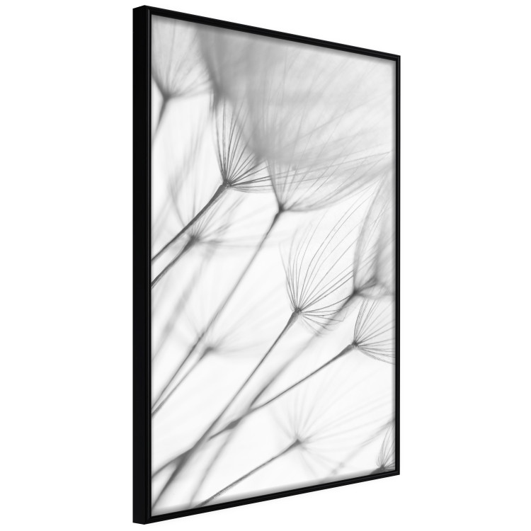 Wall Poster Lightness of the Moment - black and white simple composition with delicate dandelions 121978 additionalImage 12