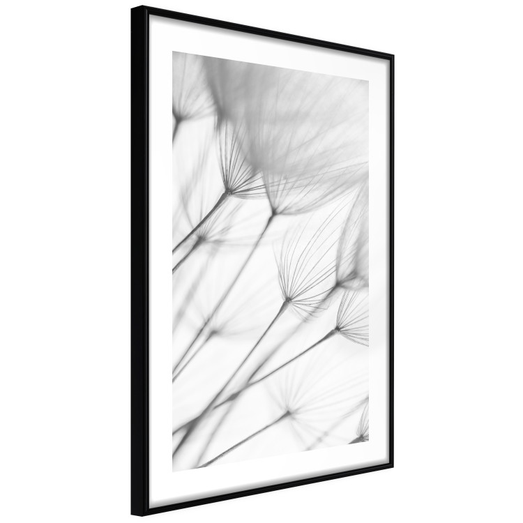 Wall Poster Lightness of the Moment - black and white simple composition with delicate dandelions 121978 additionalImage 13