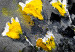 Canvas Bouquet of Colours (1 Part) Vertical Yellow 123078 additionalThumb 5