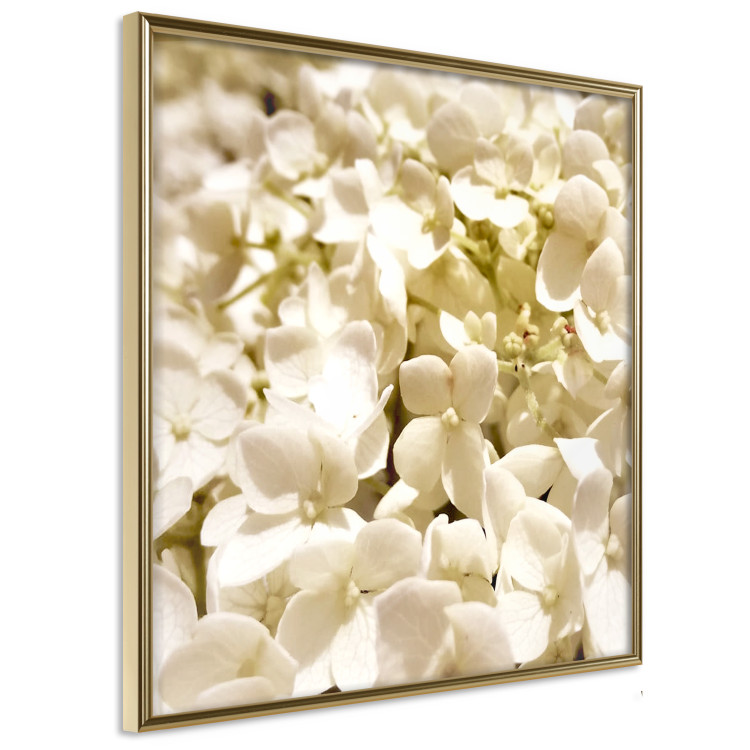 Wall Poster White Meadow - field full of white plants with a subtle yellow contrast 123478 additionalImage 12