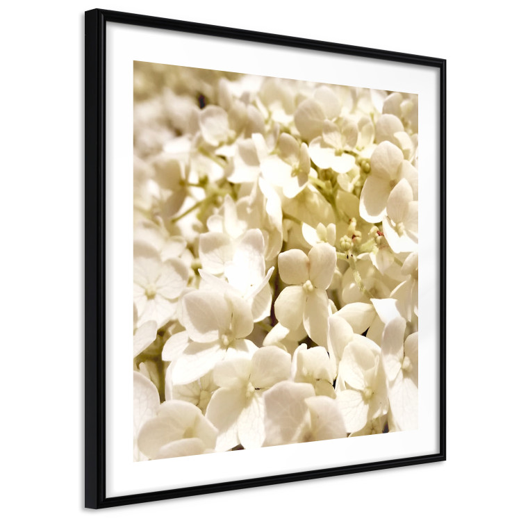 Wall Poster White Meadow - field full of white plants with a subtle yellow contrast 123478 additionalImage 11