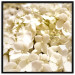 Wall Poster White Meadow - field full of white plants with a subtle yellow contrast 123478 additionalThumb 17