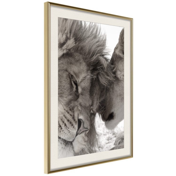Poster Whispering Dreams - black and white romantic animals on white background 123678 additionalImage 3
