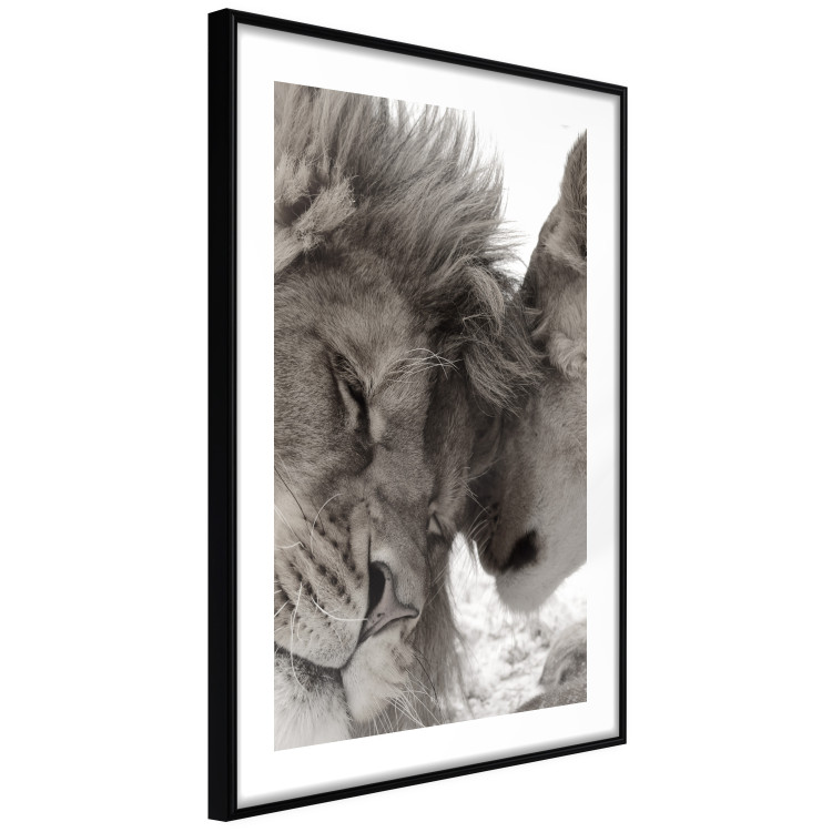 Poster Whispering Dreams - black and white romantic animals on white background 123678 additionalImage 4