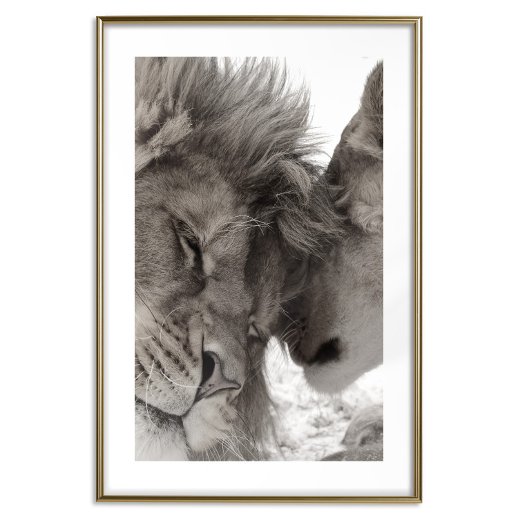 Poster Whispering Dreams - black and white romantic animals on white background 123678 additionalImage 14