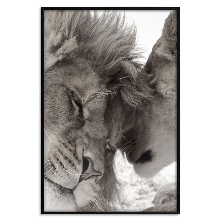 Poster Whispering Dreams - black and white romantic animals on white background 123678 additionalImage 24
