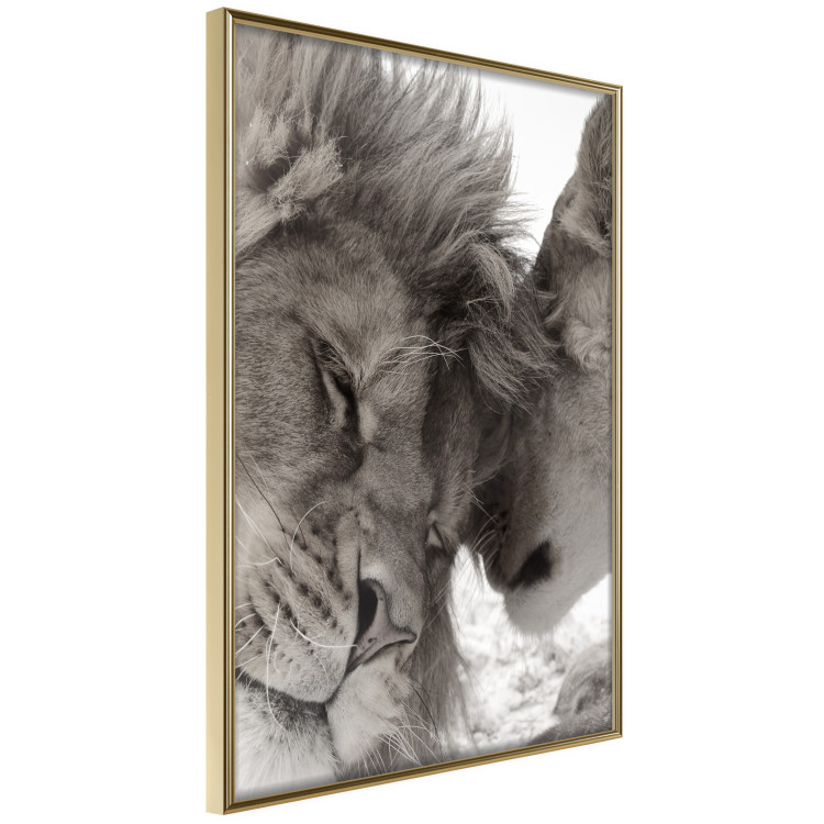 Poster Whispering Dreams - black and white romantic animals on white background 123678 additionalImage 10