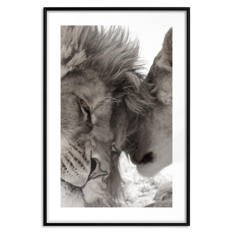 Poster Whispering Dreams - black and white romantic animals on white background 123678 additionalImage 17