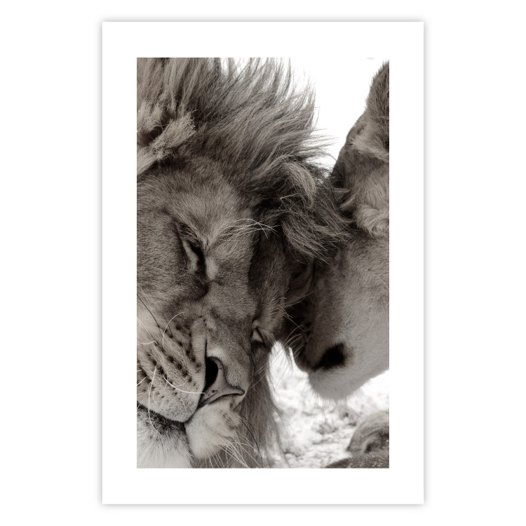 Poster Whispering Dreams - black and white romantic animals on white background 123678 additionalImage 19