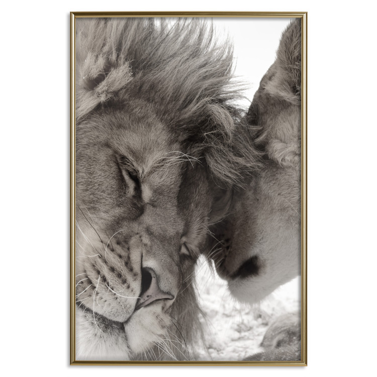 Poster Whispering Dreams - black and white romantic animals on white background 123678 additionalImage 16