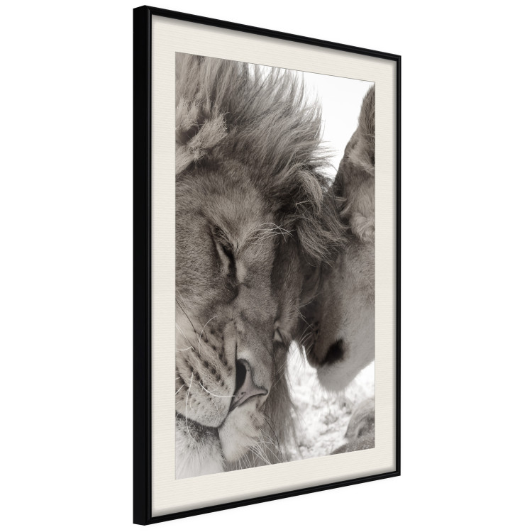 Poster Whispering Dreams - black and white romantic animals on white background 123678 additionalImage 2