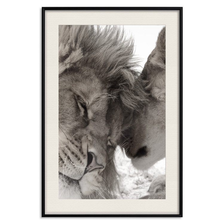 Poster Whispering Dreams - black and white romantic animals on white background 123678 additionalImage 18