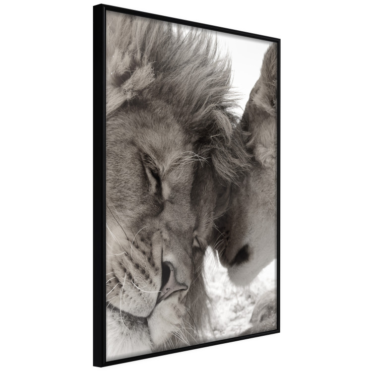 Poster Whispering Dreams - black and white romantic animals on white background 123678 additionalImage 9