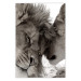 Poster Whispering Dreams - black and white romantic animals on white background 123678