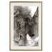 Poster Whispering Dreams - black and white romantic animals on white background 123678 additionalThumb 19