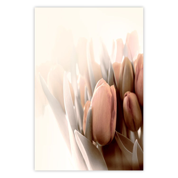 Poster Spring Mist - composition of colorful tulips against a bright glow 126678