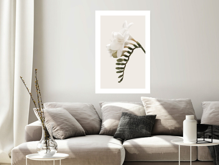 Poster Spring Plume - composition of white spring flowers on a beige background 127478 additionalImage 5