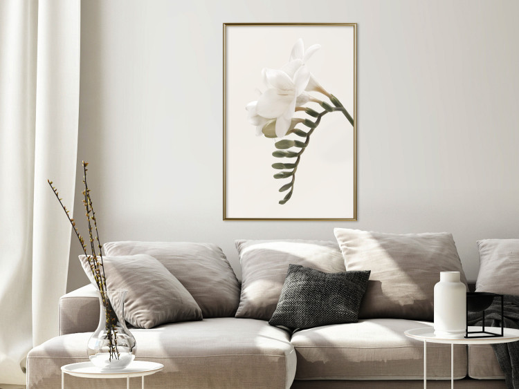 Poster Spring Plume - composition of white spring flowers on a beige background 127478 additionalImage 5