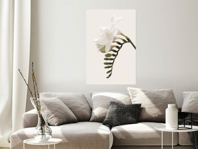Poster Spring Plume - composition of white spring flowers on a beige background 127478 additionalImage 2