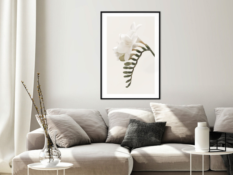 Poster Spring Plume - composition of white spring flowers on a beige background 127478 additionalImage 18