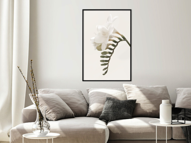 Poster Spring Plume - composition of white spring flowers on a beige background 127478 additionalImage 6