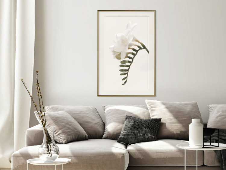 Poster Spring Plume - composition of white spring flowers on a beige background 127478 additionalImage 22