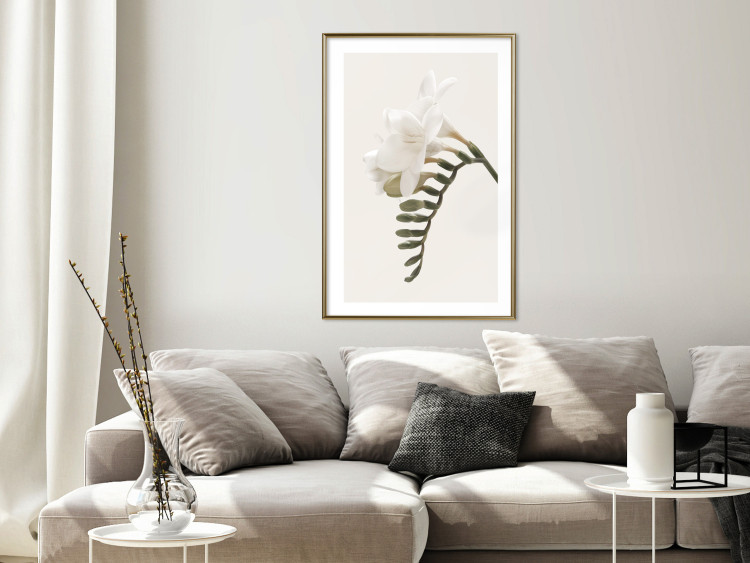 Poster Spring Plume - composition of white spring flowers on a beige background 127478 additionalImage 15