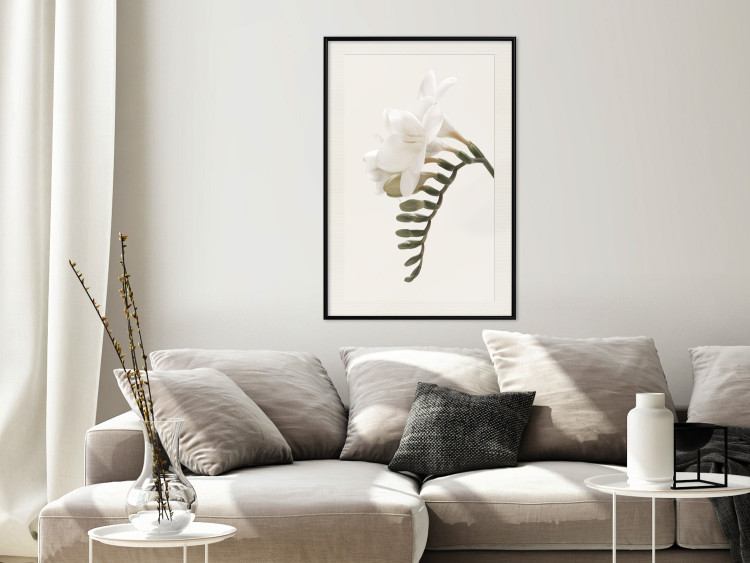 Poster Spring Plume - composition of white spring flowers on a beige background 127478 additionalImage 24