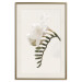 Poster Spring Plume - composition of white spring flowers on a beige background 127478 additionalThumb 20