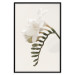 Poster Spring Plume - composition of white spring flowers on a beige background 127478 additionalThumb 18