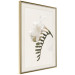 Poster Spring Plume - composition of white spring flowers on a beige background 127478 additionalThumb 3