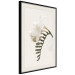 Poster Spring Plume - composition of white spring flowers on a beige background 127478 additionalThumb 2