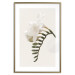 Poster Spring Plume - composition of white spring flowers on a beige background 127478 additionalThumb 16