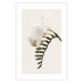 Poster Spring Plume - composition of white spring flowers on a beige background 127478 additionalThumb 19