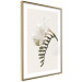 Poster Spring Plume - composition of white spring flowers on a beige background 127478 additionalThumb 9