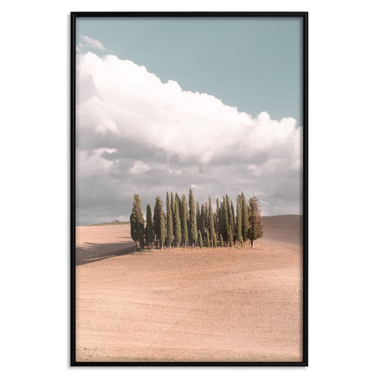 Poster Sweet Tuscany - warm landscape of a field against trees and clouds 135878 additionalImage 12