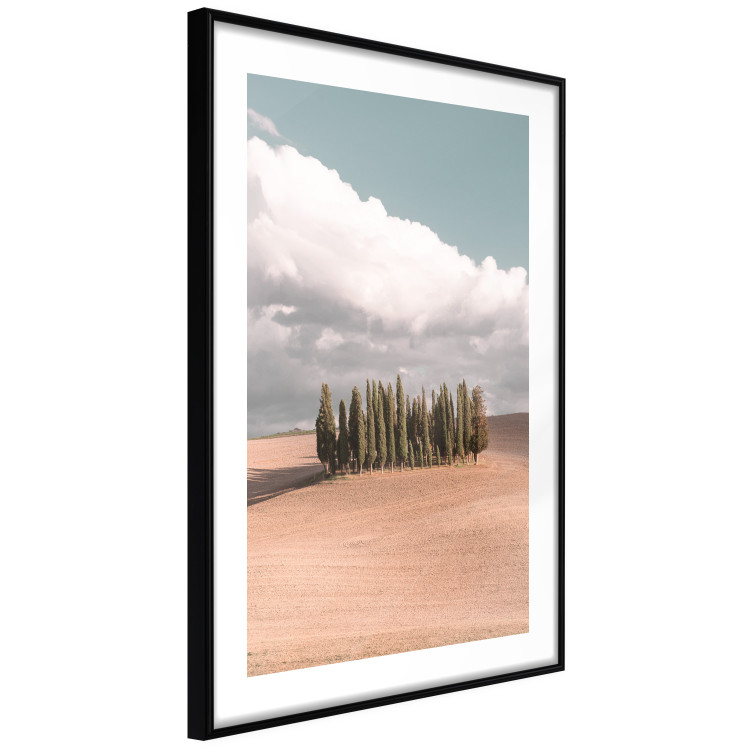 Poster Sweet Tuscany - warm landscape of a field against trees and clouds 135878 additionalImage 4