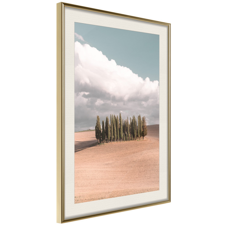 Poster Sweet Tuscany - warm landscape of a field against trees and clouds 135878 additionalImage 3
