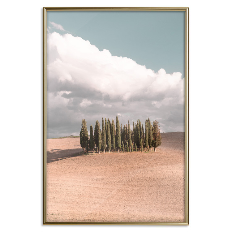 Poster Sweet Tuscany - warm landscape of a field against trees and clouds 135878 additionalImage 17