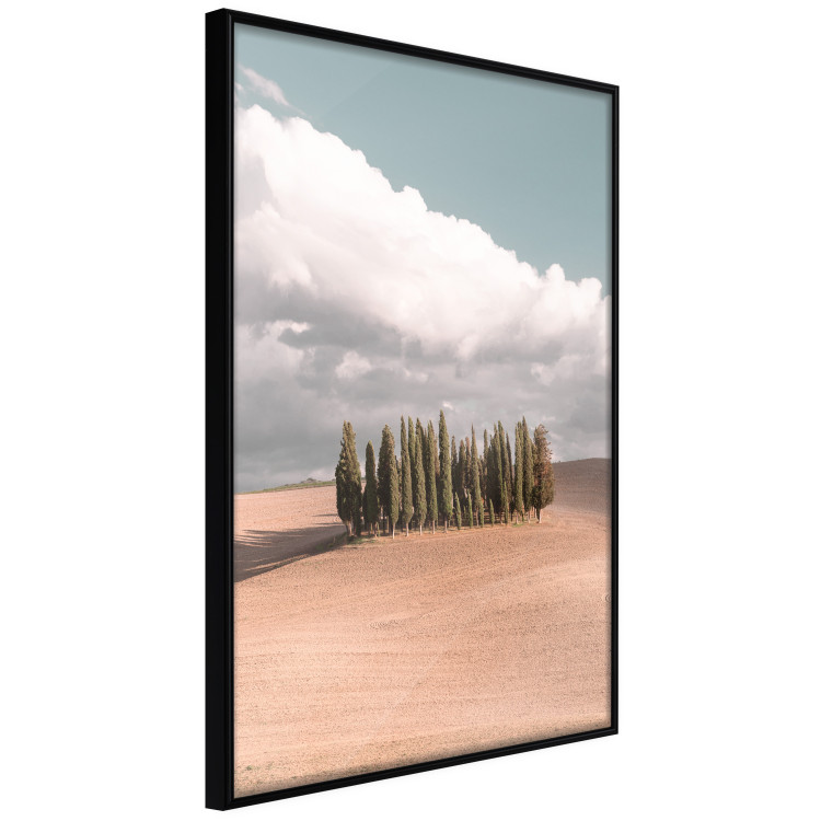 Poster Sweet Tuscany - warm landscape of a field against trees and clouds 135878 additionalImage 4