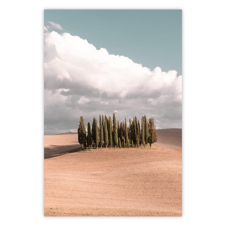 Poster Sweet Tuscany - warm landscape of a field against trees and clouds 135878