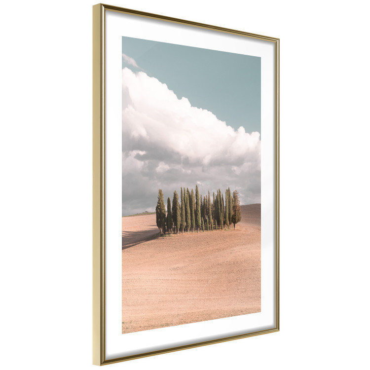 Poster Sweet Tuscany - warm landscape of a field against trees and clouds 135878 additionalImage 2