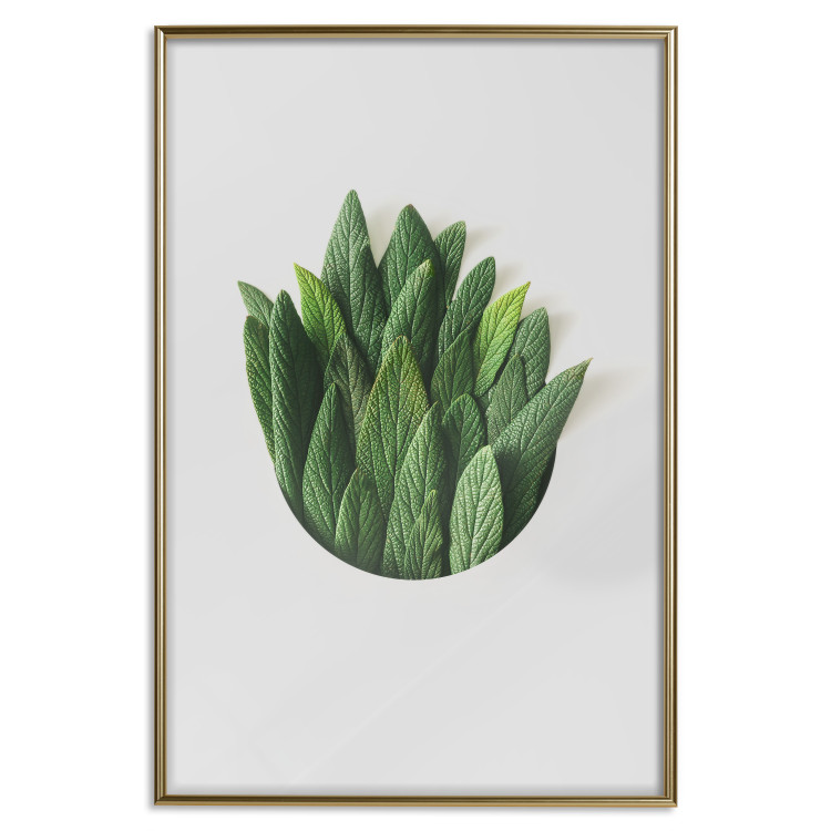 Poster Fragrant Circle - plant composition with green leaves on a white background 137278 additionalImage 7