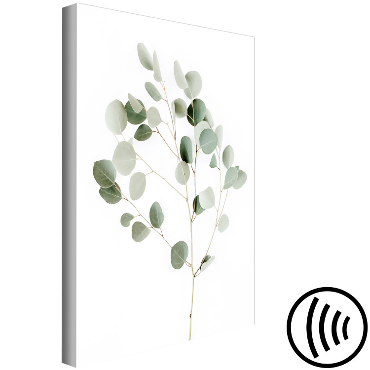 Canvas Print Silver Eucalyptus - vegetation landscape on a white background in boho motif 137478 additionalImage 6