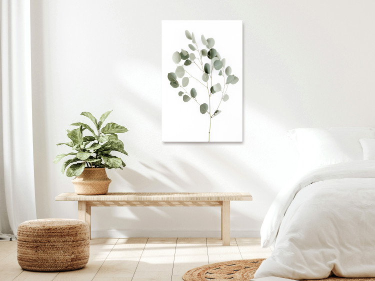 Canvas Print Silver Eucalyptus - vegetation landscape on a white background in boho motif 137478 additionalImage 3