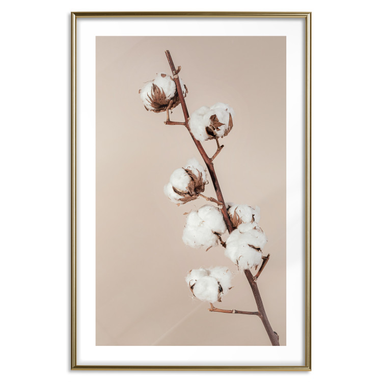 Poster Softness of Cotton - plant with soft white flowers on a beige background 137978 additionalImage 4